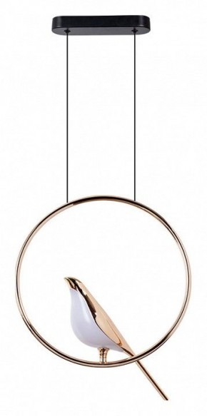 Подвесной светильник Divinare Summer 1188/01 SP-9 в Талице - talica.mebel24.online | фото 2