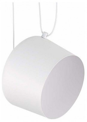 Подвесной светильник EVOLUCE Trieste SLE120653-01 в Талице - talica.mebel24.online | фото 1