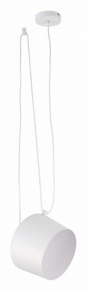 Подвесной светильник EVOLUCE Trieste SLE120653-01 в Талице - talica.mebel24.online | фото 2