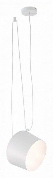 Подвесной светильник EVOLUCE Trieste SLE120653-01 в Талице - talica.mebel24.online | фото 3