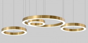 Подвесной светильник Imperiumloft Light Ring Horizontal 40.1454-80 в Талице - talica.mebel24.online | фото 4