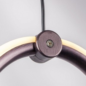 Подвесной светильник Lightstar Caramello 796329 в Талице - talica.mebel24.online | фото 10