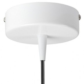 Подвесной светильник Lightstar Conicita 804110 в Талице - talica.mebel24.online | фото 6