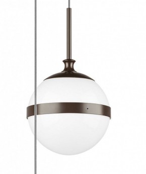 Подвесной светильник Lightstar Globo 813137 в Талице - talica.mebel24.online | фото 5