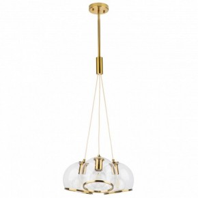 Подвесной светильник Lightstar Sferico 729031 в Талице - talica.mebel24.online | фото 2