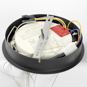 Подвесной светильник Lussole Hale LSP-7380 в Талице - talica.mebel24.online | фото 6