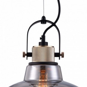 Подвесной светильник Maytoni Irving T163PL-01C в Талице - talica.mebel24.online | фото 9
