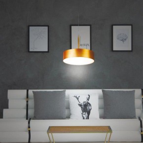 Подвесной светильник Novotech Prometa 358766 в Талице - talica.mebel24.online | фото 4