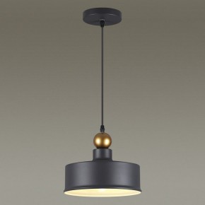 Подвесной светильник Odeon Light Bolli 4088/1 в Талице - talica.mebel24.online | фото 4