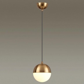 Подвесной светильник Odeon Light Pinga 4960/1 в Талице - talica.mebel24.online | фото 2