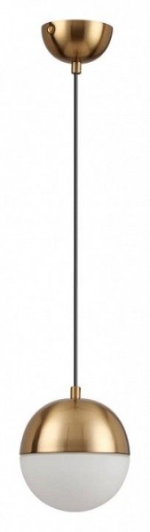 Подвесной светильник Odeon Light Pinga 4960/1 в Талице - talica.mebel24.online | фото 3