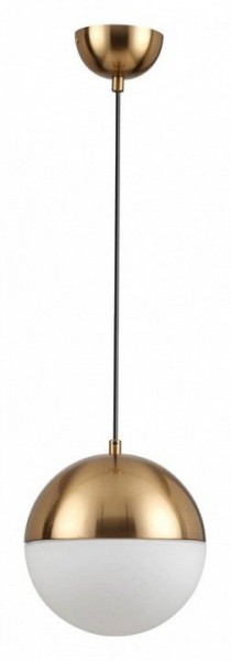 Подвесной светильник Odeon Light Pinga 4960/1A в Талице - talica.mebel24.online | фото 3