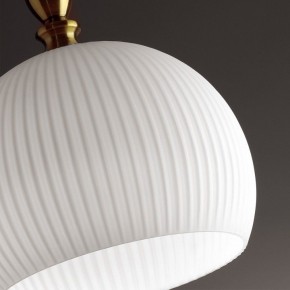 Подвесной светильник Odeon Light Runga 4766/1 в Талице - talica.mebel24.online | фото 8