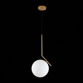 Подвесной светильник ST-Luce Codda SL1148.303.01 в Талице - talica.mebel24.online | фото 6