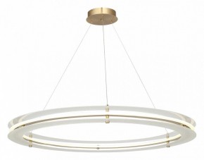 Подвесной светильник ST-Luce FAGY SL6245.213.01 в Талице - talica.mebel24.online | фото 4