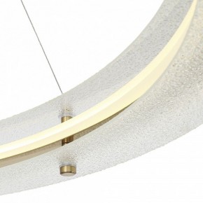 Подвесной светильник ST-Luce FAGY SL6245.213.01 в Талице - talica.mebel24.online | фото 6
