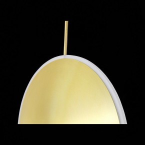 Подвесной светильник ST-Luce Imente SL1221.213.01 в Талице - talica.mebel24.online | фото 9