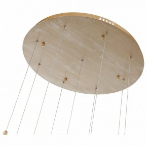 Подвесной светильник ST-Luce SL1116 SL1116.203.09 в Талице - talica.mebel24.online | фото 4