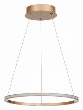 Подвесной светильник ST-Luce ST604 OUT ST604.243.22 в Талице - talica.mebel24.online | фото 2