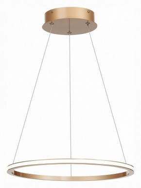 Подвесной светильник ST-Luce ST604 OUT ST604.243.22 в Талице - talica.mebel24.online | фото 3