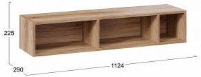 Полка навесная ТД-102.28 в Талице - talica.mebel24.online | фото 9