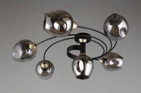 Потолочная люстра Aployt Flor APL.611.17.06 в Талице - talica.mebel24.online | фото 1