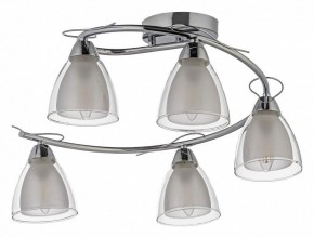 Потолочная люстра Arti Lampadari Paola, Tavenna Nickel Paola E 1.1.5 N в Талице - talica.mebel24.online | фото