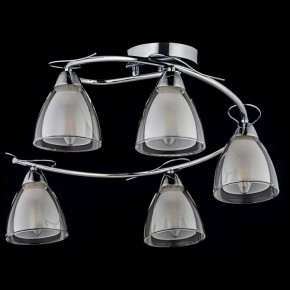 Потолочная люстра Arti Lampadari Paola, Tavenna Nickel Paola E 1.1.5 N в Талице - talica.mebel24.online | фото 2