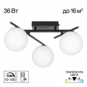Потолочная люстра Citilux Dorsy CL223132 в Талице - talica.mebel24.online | фото 10