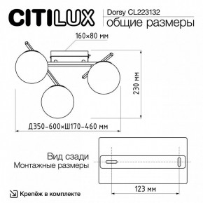 Потолочная люстра Citilux Dorsy CL223132 в Талице - talica.mebel24.online | фото 12