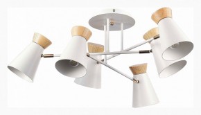 Потолочная люстра EVOLUCE Alfeo SLE1252-502-06 в Талице - talica.mebel24.online | фото 2