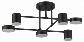 Потолочная люстра EVOLUCE Nobel SLE201042-06 в Талице - talica.mebel24.online | фото 11