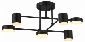 Потолочная люстра EVOLUCE Nobel SLE201042-06 в Талице - talica.mebel24.online | фото 12