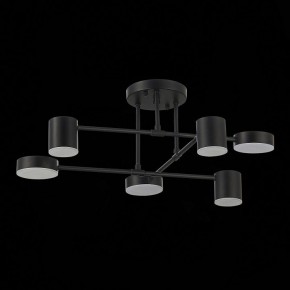 Потолочная люстра EVOLUCE Nobel SLE201042-06 в Талице - talica.mebel24.online | фото 14