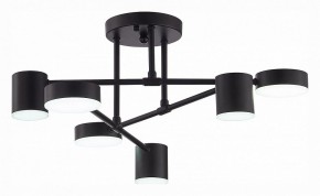 Потолочная люстра EVOLUCE Nobel SLE201042-06 в Талице - talica.mebel24.online | фото 5