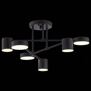 Потолочная люстра EVOLUCE Nobel SLE201042-06 в Талице - talica.mebel24.online | фото 6