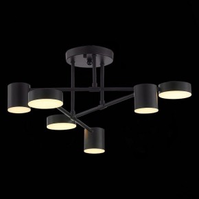 Потолочная люстра EVOLUCE Nobel SLE201042-06 в Талице - talica.mebel24.online | фото 7
