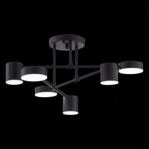 Потолочная люстра EVOLUCE Nobel SLE201042-06 в Талице - talica.mebel24.online | фото 9
