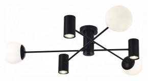 Потолочная люстра EVOLUCE Raito SLE1105-402-06 в Талице - talica.mebel24.online | фото