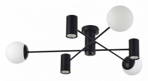 Потолочная люстра EVOLUCE Raito SLE1105-402-06 в Талице - talica.mebel24.online | фото 2