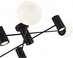 Потолочная люстра EVOLUCE Raito SLE1105-402-06 в Талице - talica.mebel24.online | фото 3