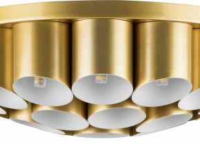 Потолочная люстра Lightstar Siena 720222 в Талице - talica.mebel24.online | фото 3