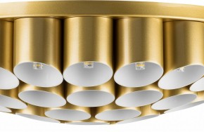 Потолочная люстра Lightstar Siena 720402 в Талице - talica.mebel24.online | фото 3