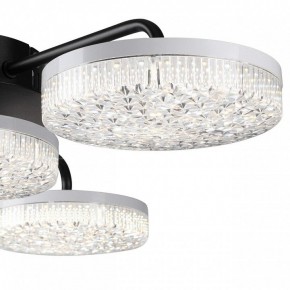 Потолочная люстра Lumion Didana 8236/4CL в Талице - talica.mebel24.online | фото 7