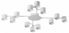 Потолочная люстра Lumion Gareta 8235/12C в Талице - talica.mebel24.online | фото