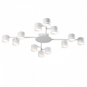Потолочная люстра Lumion Gareta 8235/12C в Талице - talica.mebel24.online | фото 2