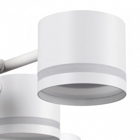 Потолочная люстра Lumion Gareta 8235/12C в Талице - talica.mebel24.online | фото 7