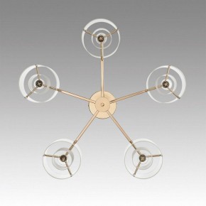 Потолочная люстра Lumion Verdi 6587/5C в Талице - talica.mebel24.online | фото 4