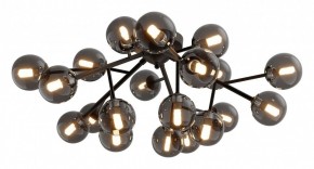 Потолочная люстра Maytoni Dallas MOD545CL-20B в Талице - talica.mebel24.online | фото 2