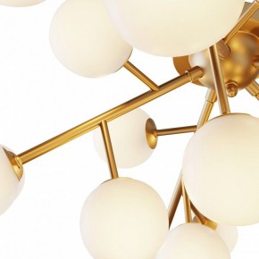 Потолочная люстра Maytoni Dallas MOD545CL-20BS в Талице - talica.mebel24.online | фото 2
